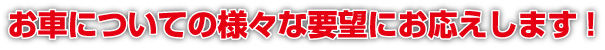 お車についての様々な要望にお応えします!
